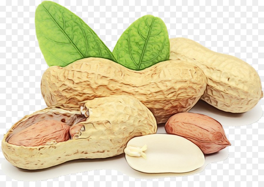 Download Transparent Peanut Nomer 36