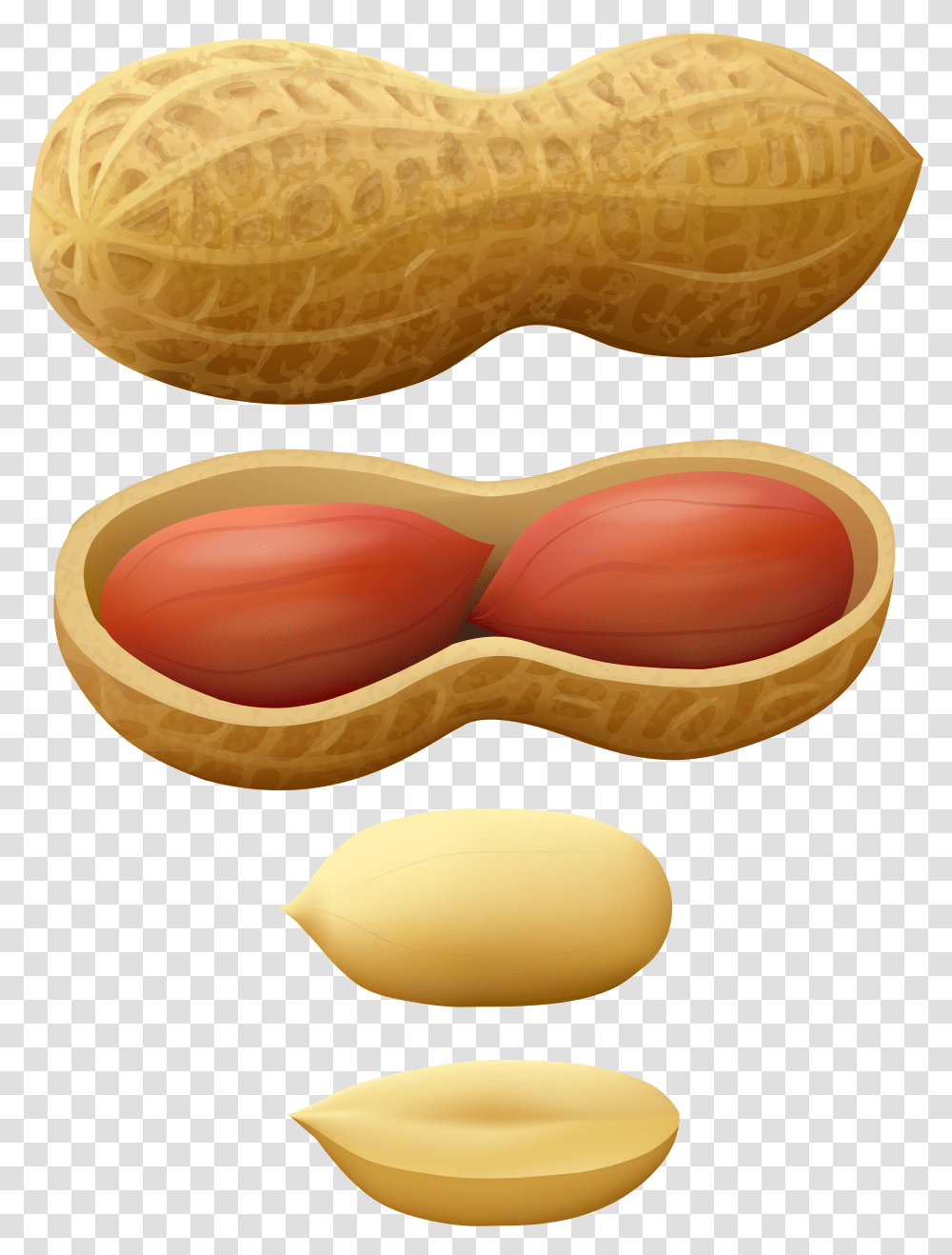 Detail Transparent Peanut Nomer 51
