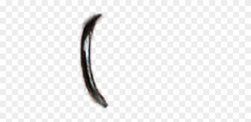 Detail Transparent Piercing Nomer 15