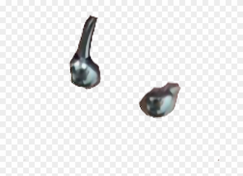 Detail Transparent Piercing Nomer 52