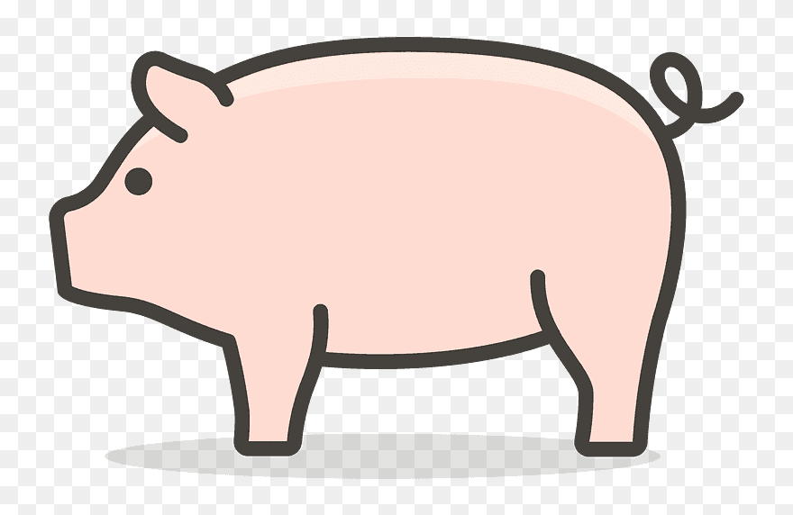 Detail Transparent Pig Nomer 41