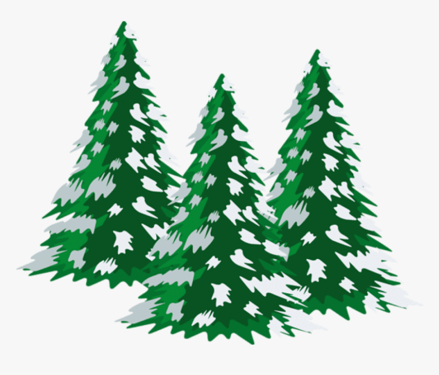 Detail Transparent Pine Tree Clipart Nomer 25