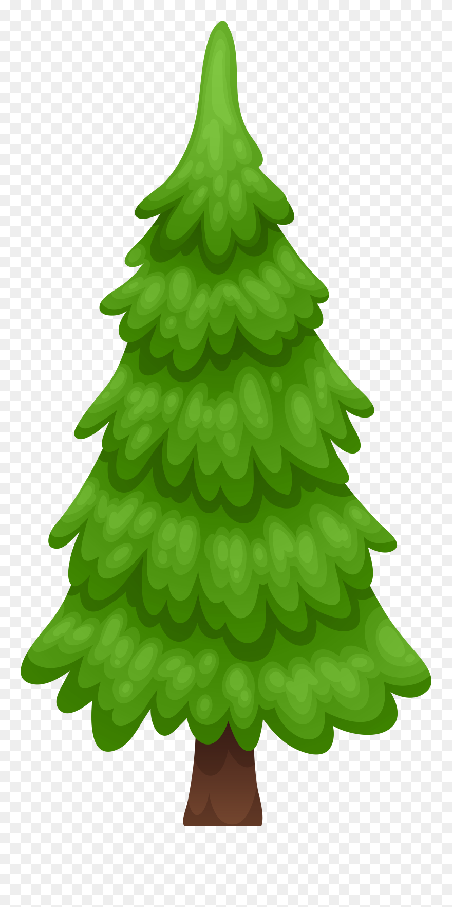 Detail Transparent Pine Tree Clipart Nomer 26