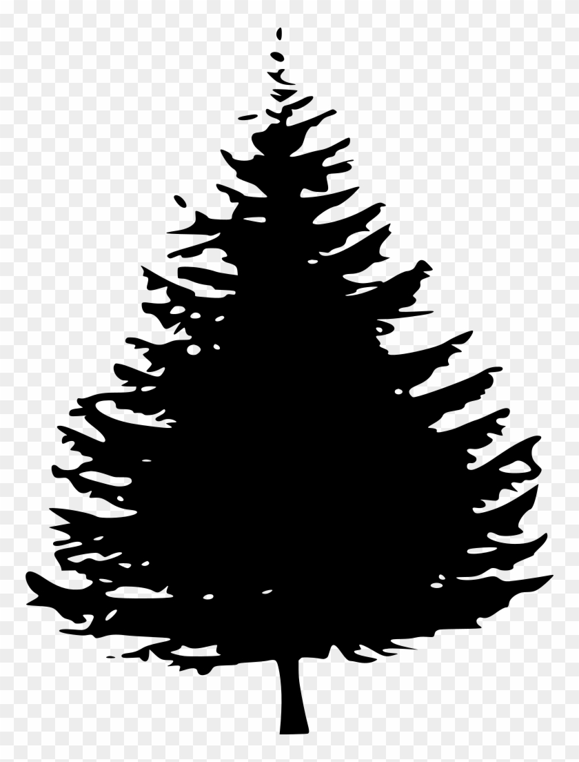 Detail Transparent Pine Tree Clipart Nomer 41