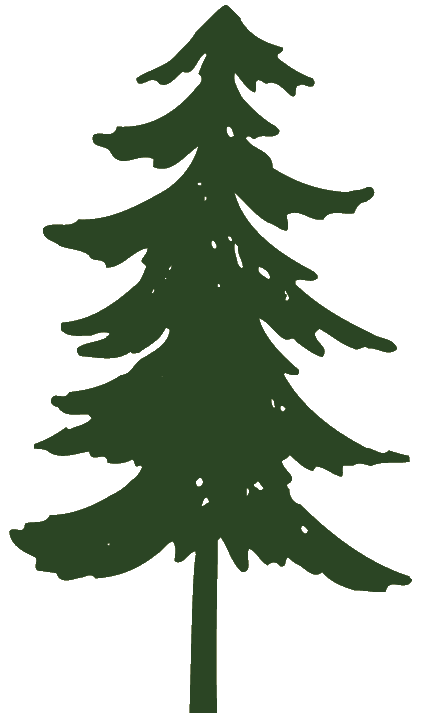 Detail Transparent Pine Tree Clipart Nomer 47