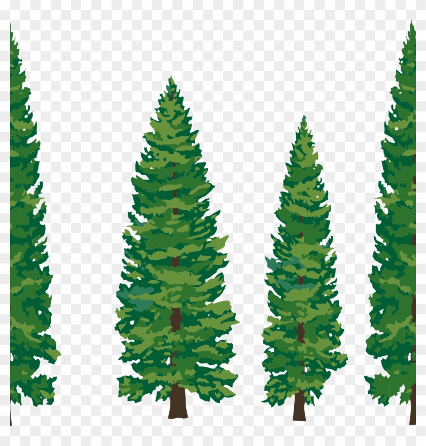 Detail Transparent Pine Tree Clipart Nomer 9