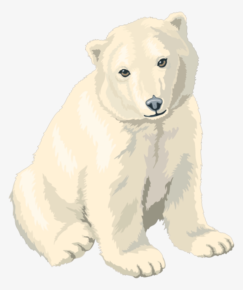 Detail Transparent Polar Bear Nomer 18