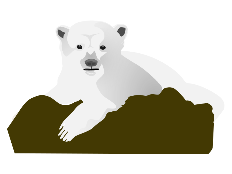 Detail Transparent Polar Bear Nomer 35