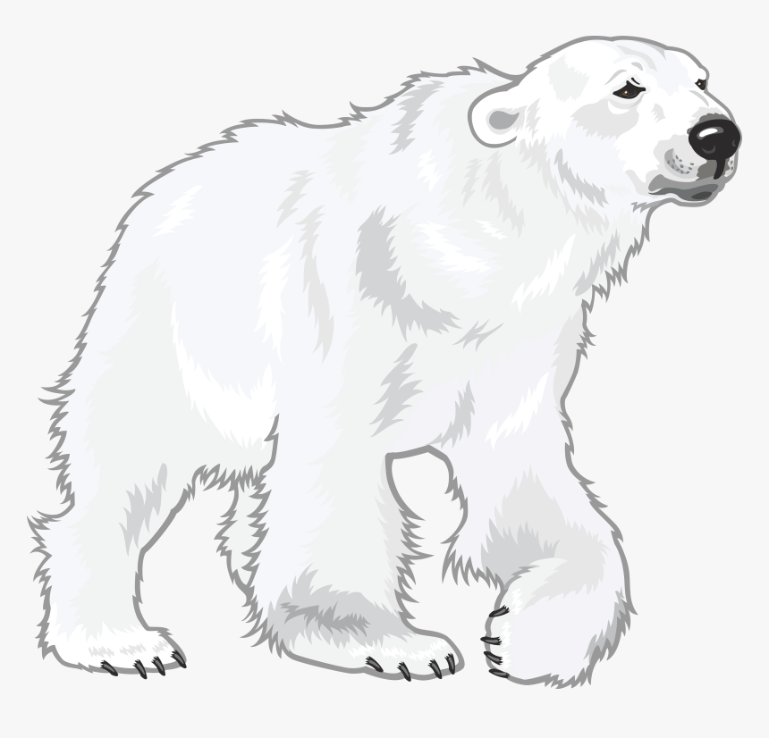 Detail Transparent Polar Bear Nomer 45