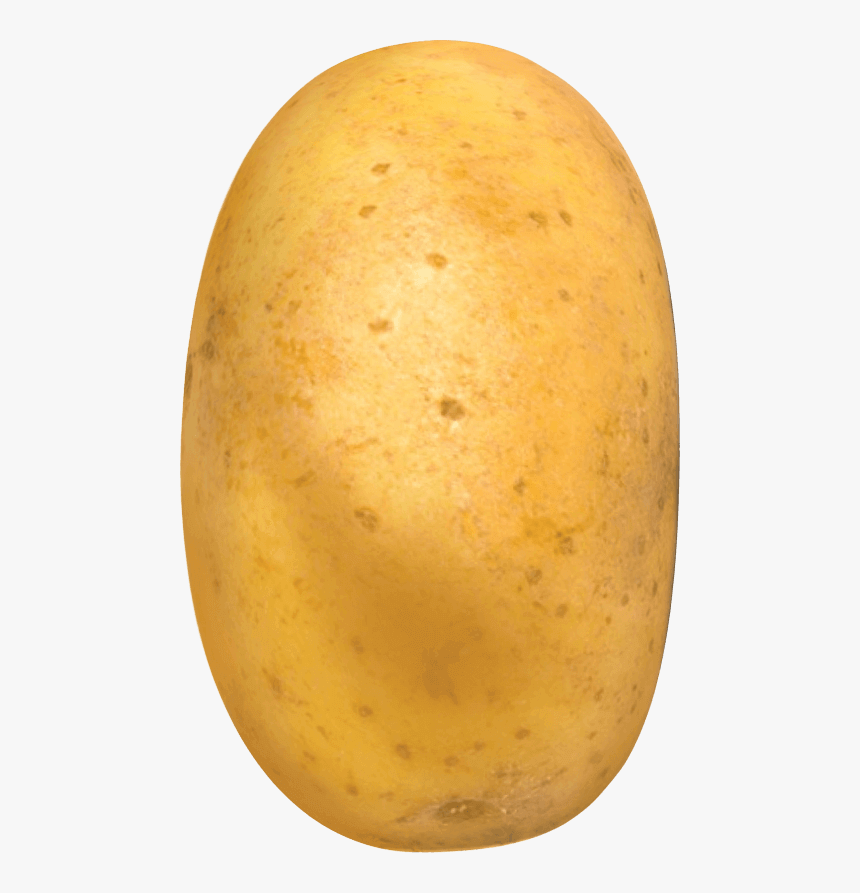 Transparent Potato - KibrisPDR