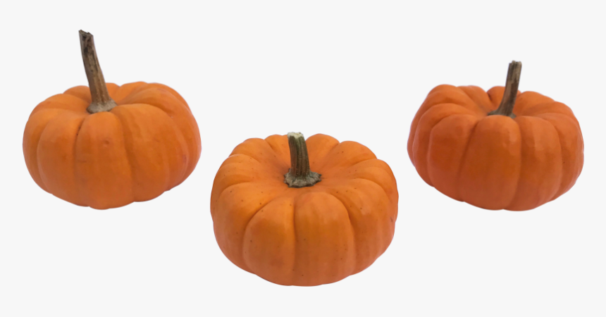 Detail Transparent Pumpkin Png Nomer 34