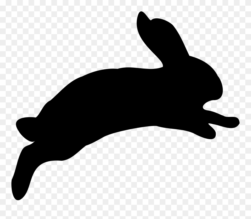 Detail Transparent Rabbit Nomer 18