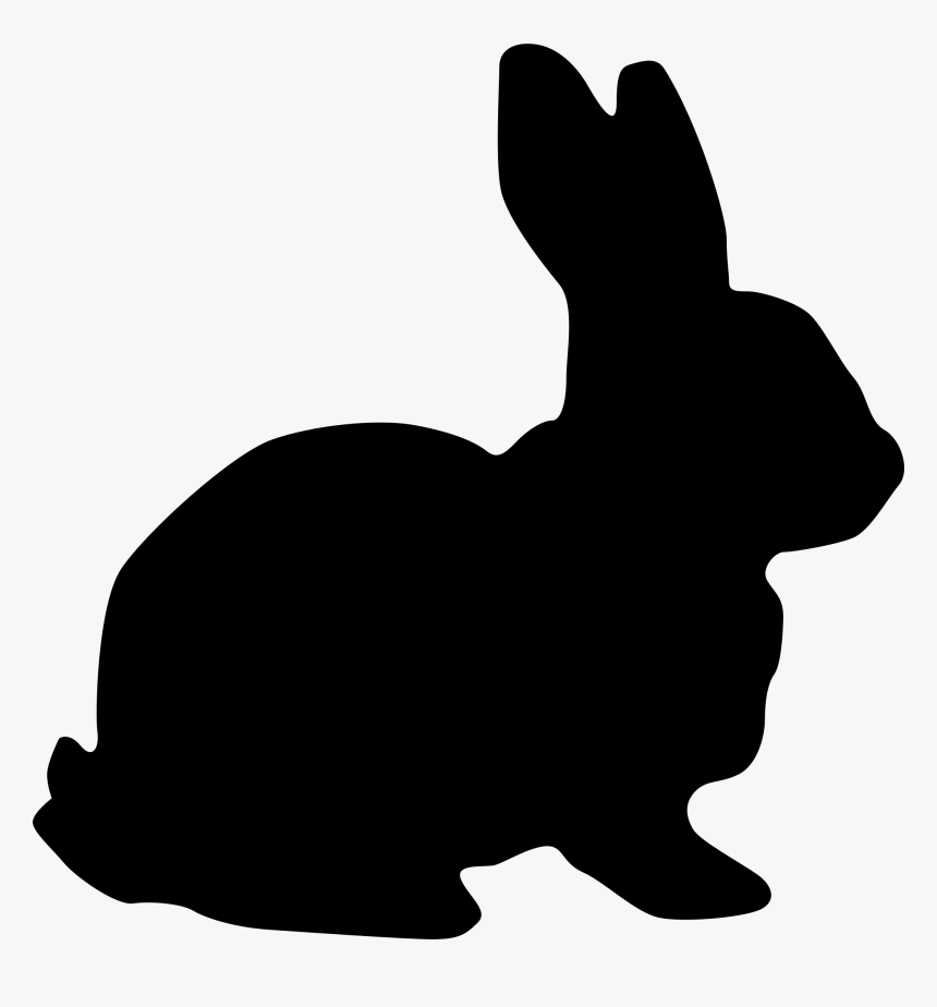 Detail Transparent Rabbit Nomer 39