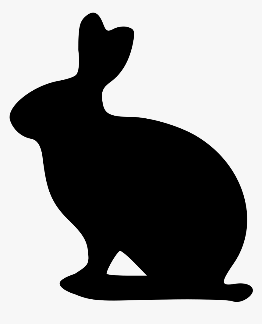 Detail Transparent Rabbit Nomer 48