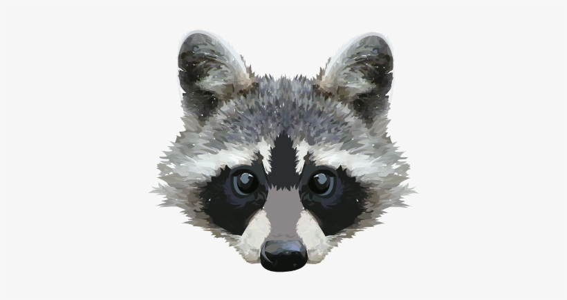 Detail Transparent Raccoon Nomer 44