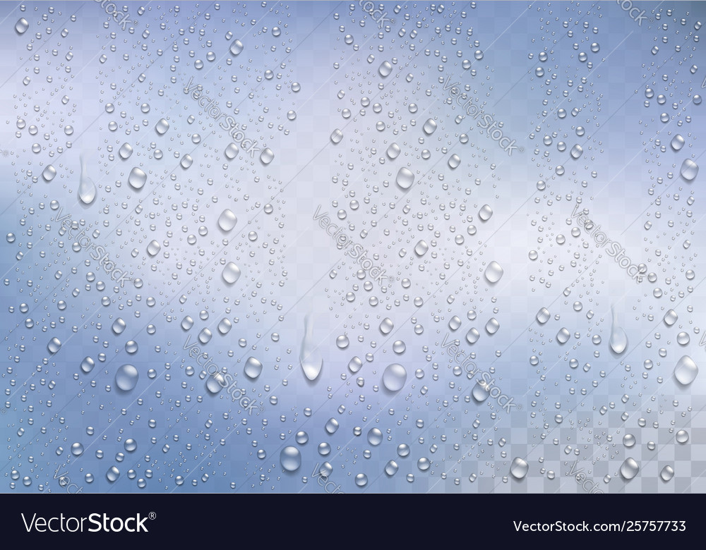 Detail Transparent Rain Drop Nomer 28