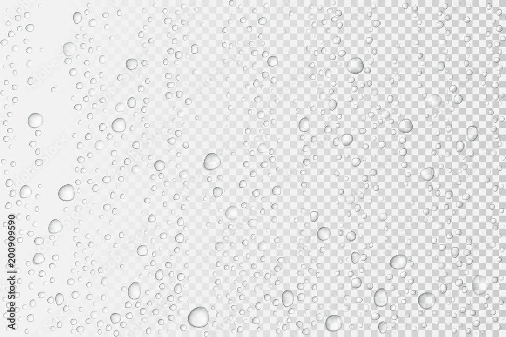Detail Transparent Rain Drop Nomer 55