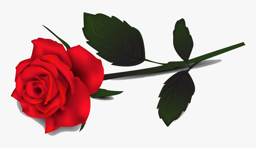 Detail Transparent Rose Images Nomer 10