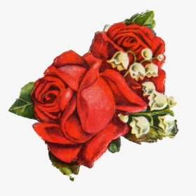 Detail Transparent Rose Images Nomer 21