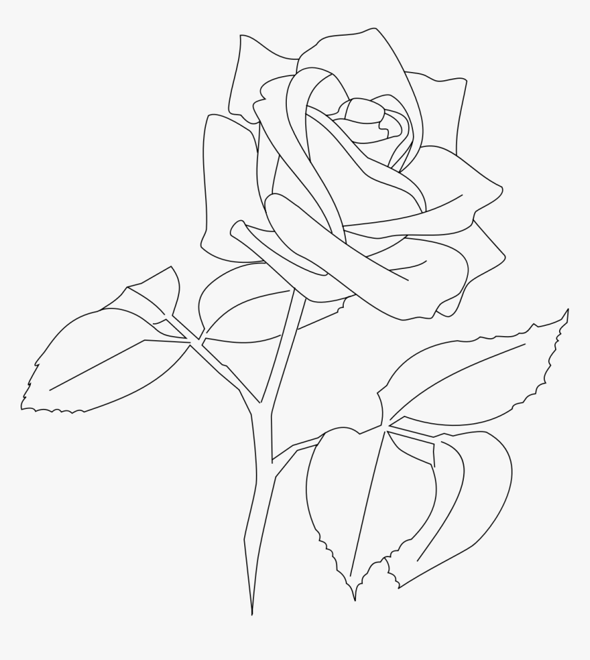 Detail Transparent Rose Images Nomer 45