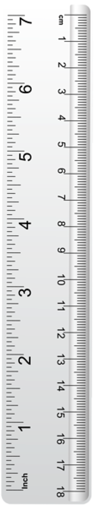 Detail Transparent Ruler Png Nomer 47
