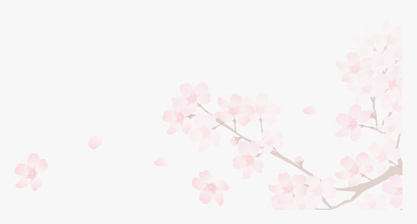 Transparent Sakura - KibrisPDR
