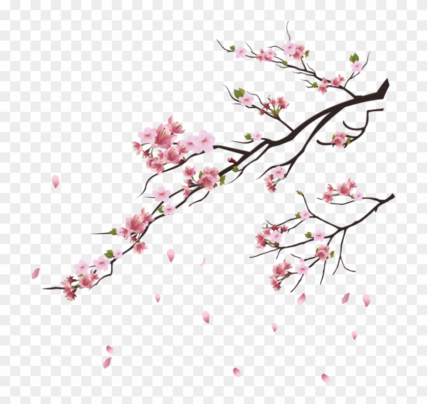 Detail Transparent Sakura Nomer 16