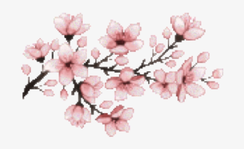 Detail Transparent Sakura Nomer 24