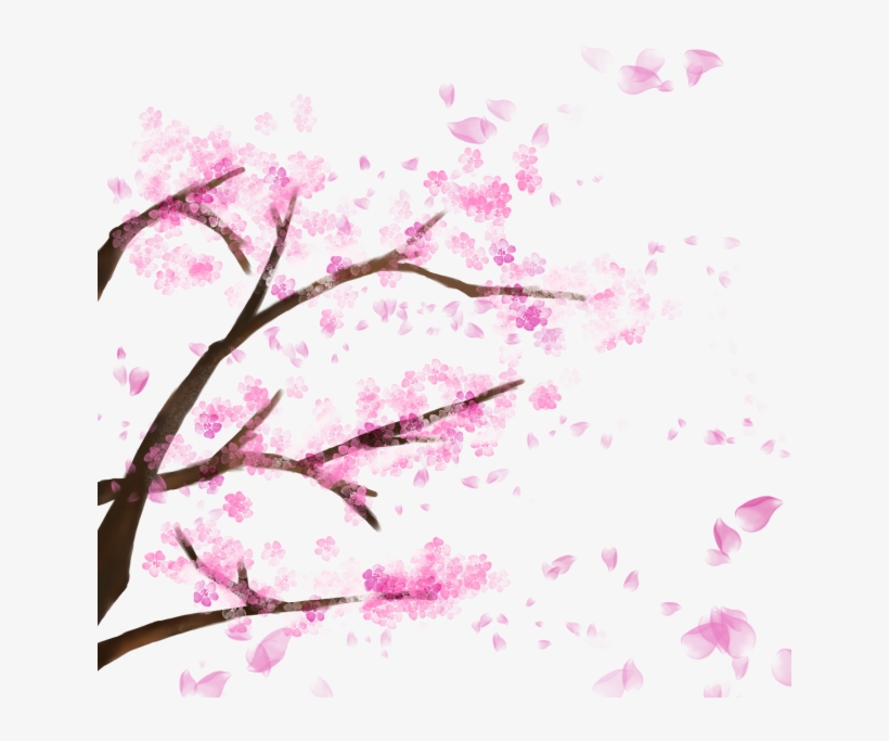 Detail Transparent Sakura Nomer 30