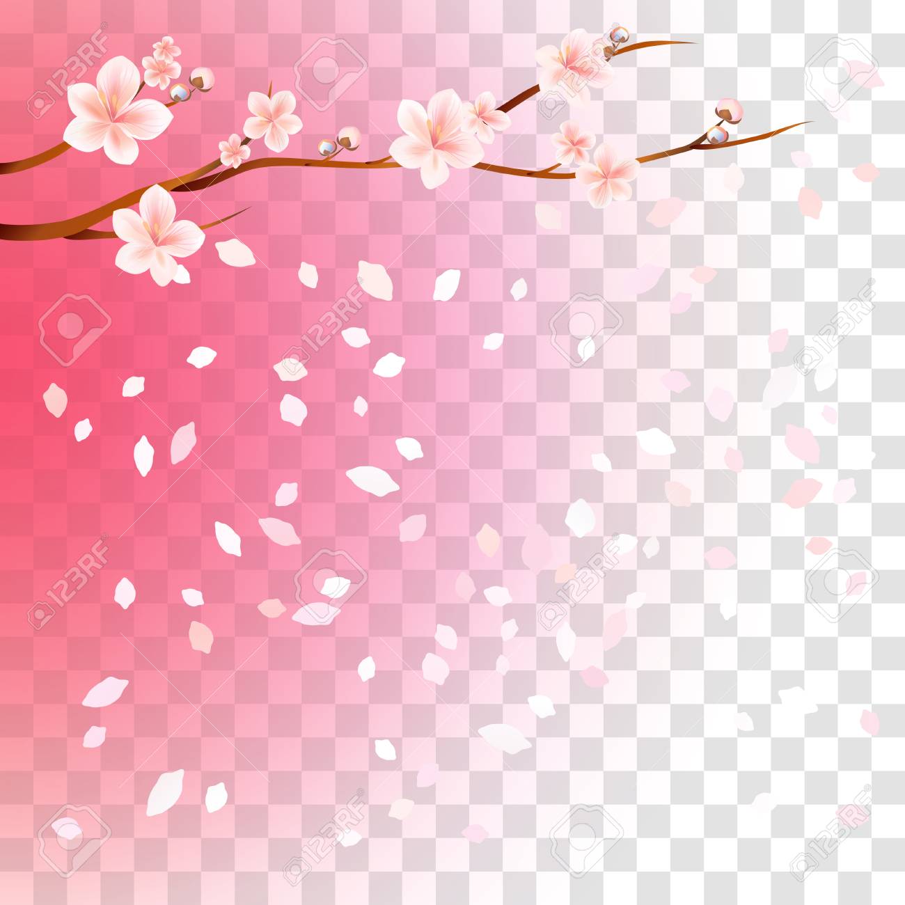 Detail Transparent Sakura Nomer 34