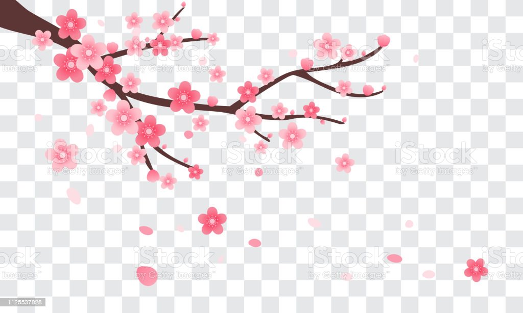Detail Transparent Sakura Nomer 36