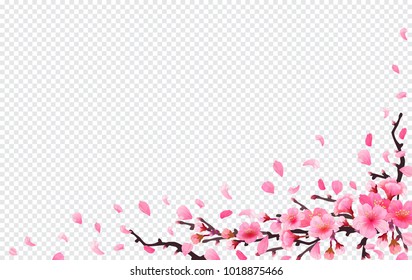 Detail Transparent Sakura Nomer 37