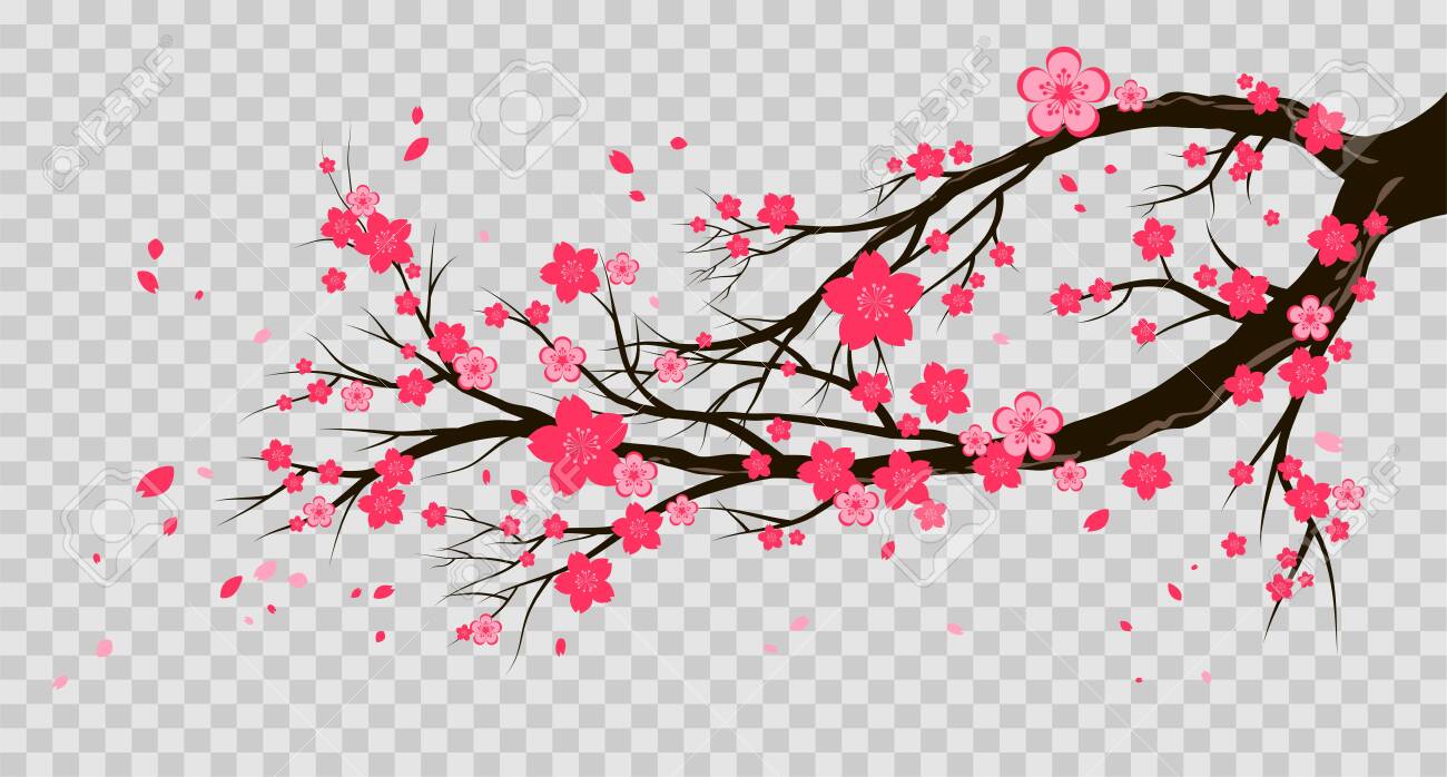 Detail Transparent Sakura Nomer 49