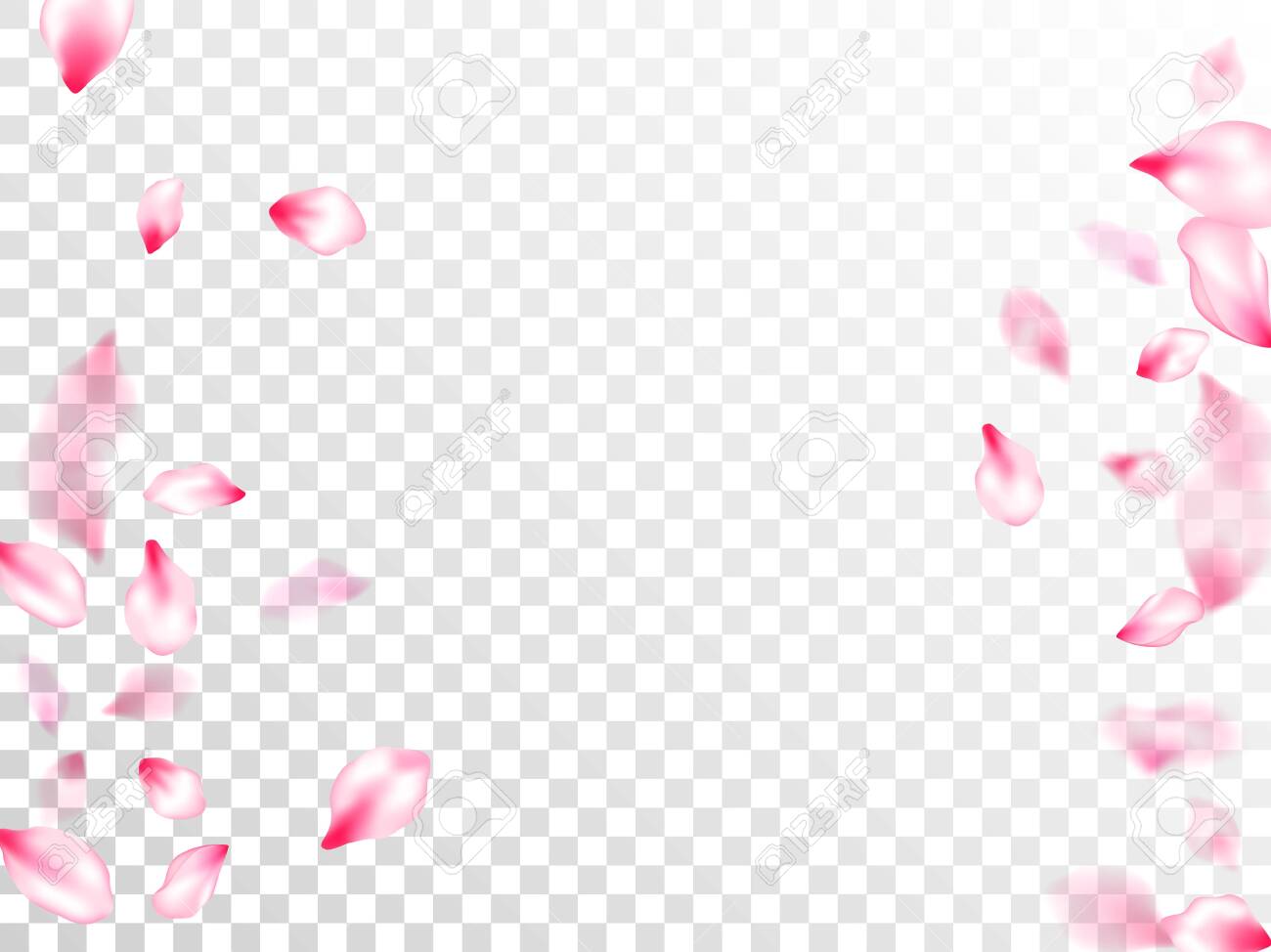 Detail Transparent Sakura Nomer 50