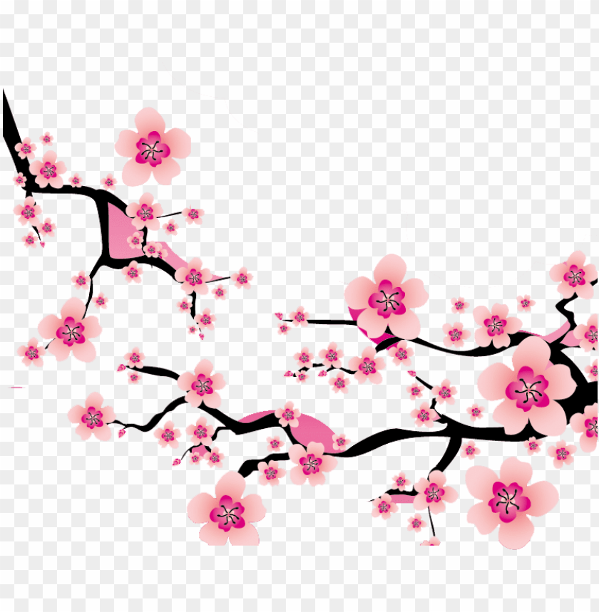 Detail Transparent Sakura Nomer 53