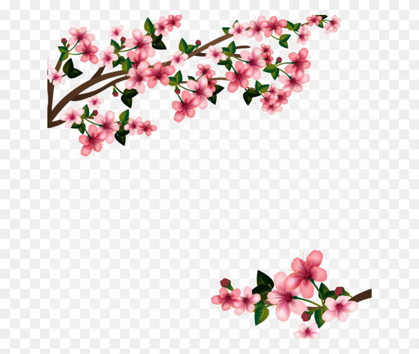 Detail Transparent Sakura Nomer 54