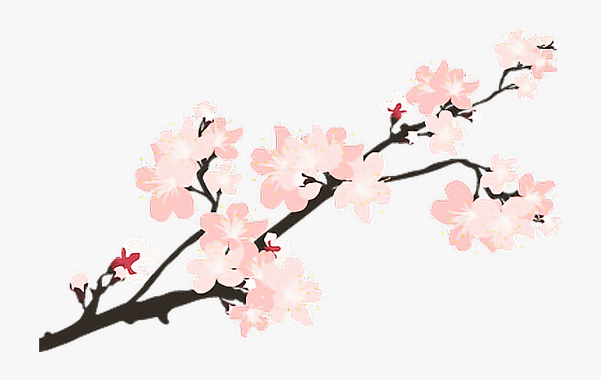 Detail Transparent Sakura Nomer 8