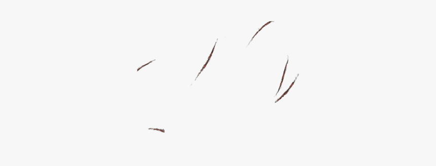 Detail Transparent Scars Nomer 11