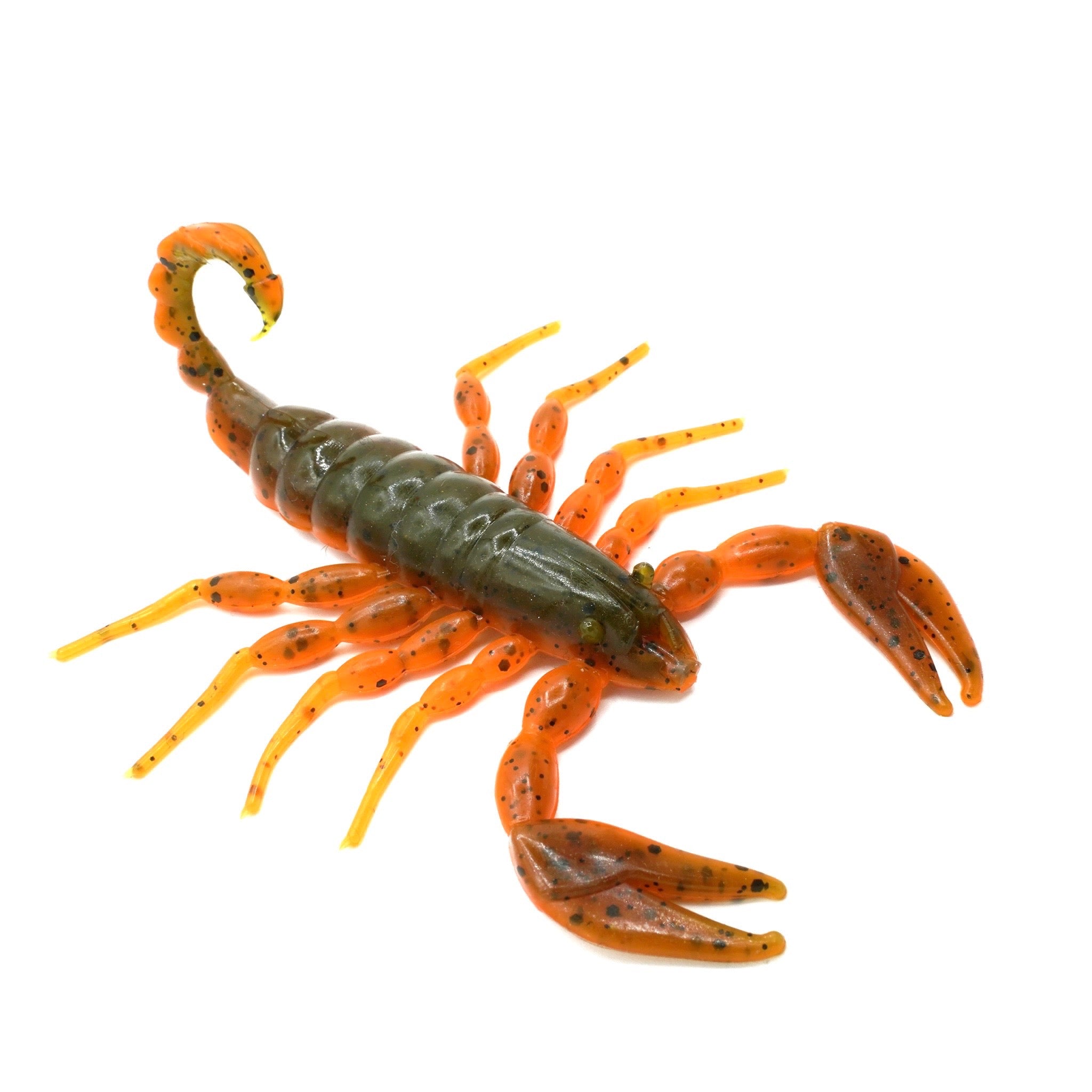 Detail Transparent Scorpion Nomer 30
