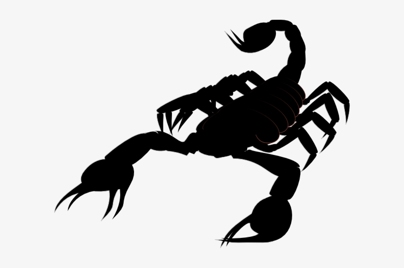 Detail Transparent Scorpion Nomer 42