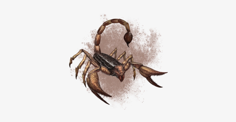 Detail Transparent Scorpion Nomer 48