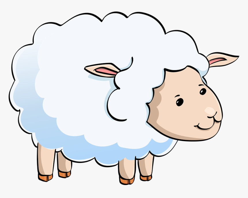 Detail Transparent Sheep Nomer 22