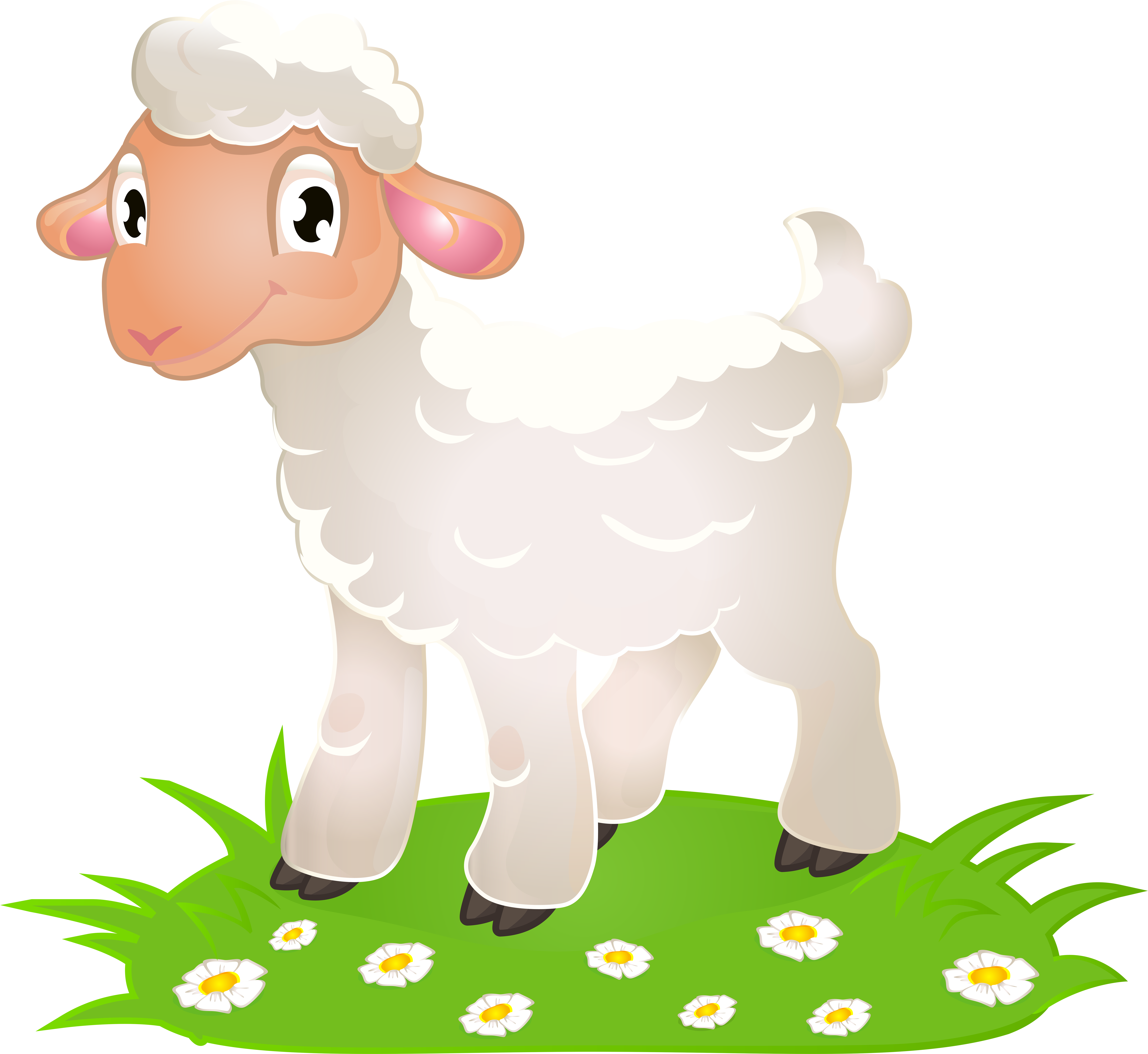 Detail Transparent Sheep Nomer 41