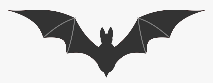 Detail Download Logo And Bat Png Nomer 9