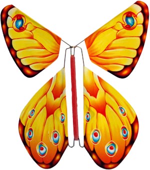 Detail Dunkelbrauner Schmetterling Nomer 22