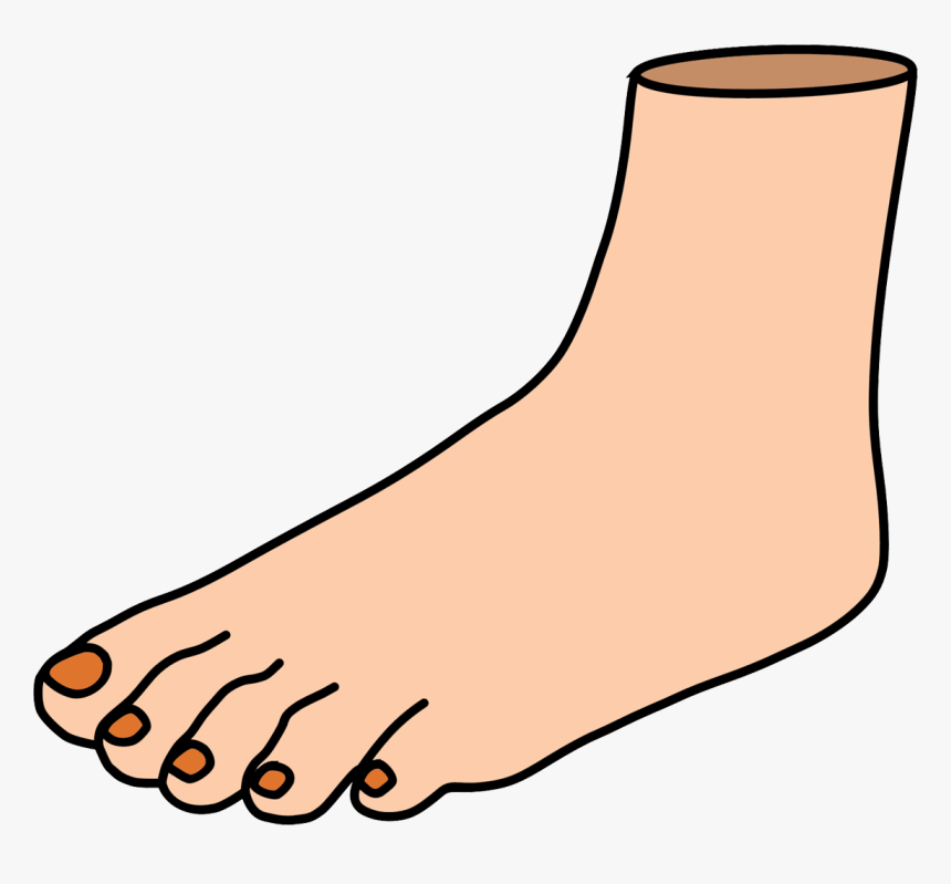 Detail Leg Clipart Nomer 5