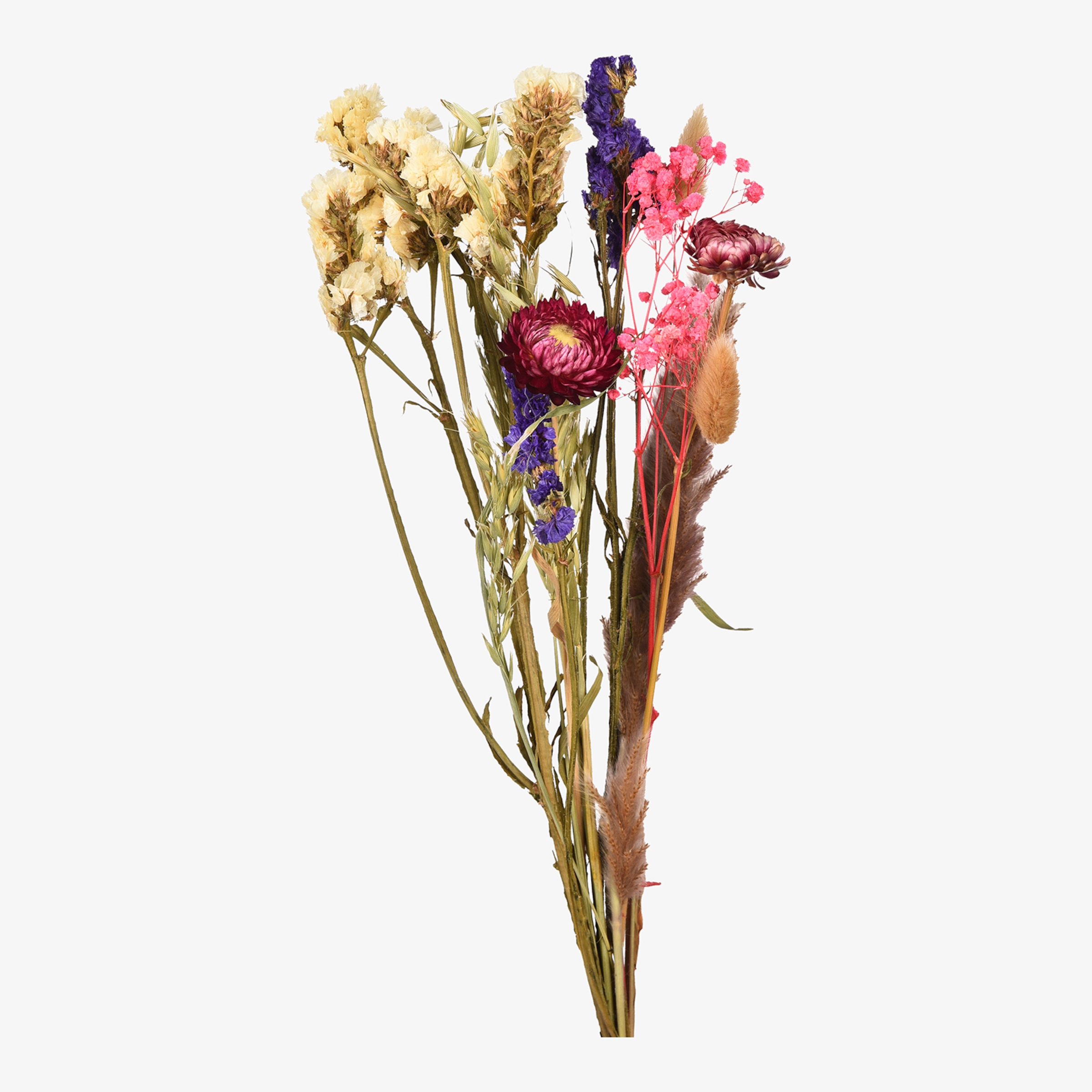 Detail Strohblumen In Der Vase Nomer 27