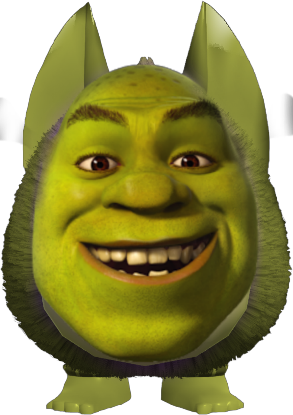 Detail Transparent Shrek Nomer 23