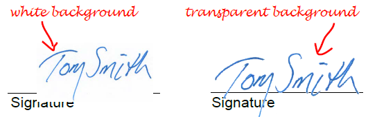 Detail Transparent Signature Nomer 25