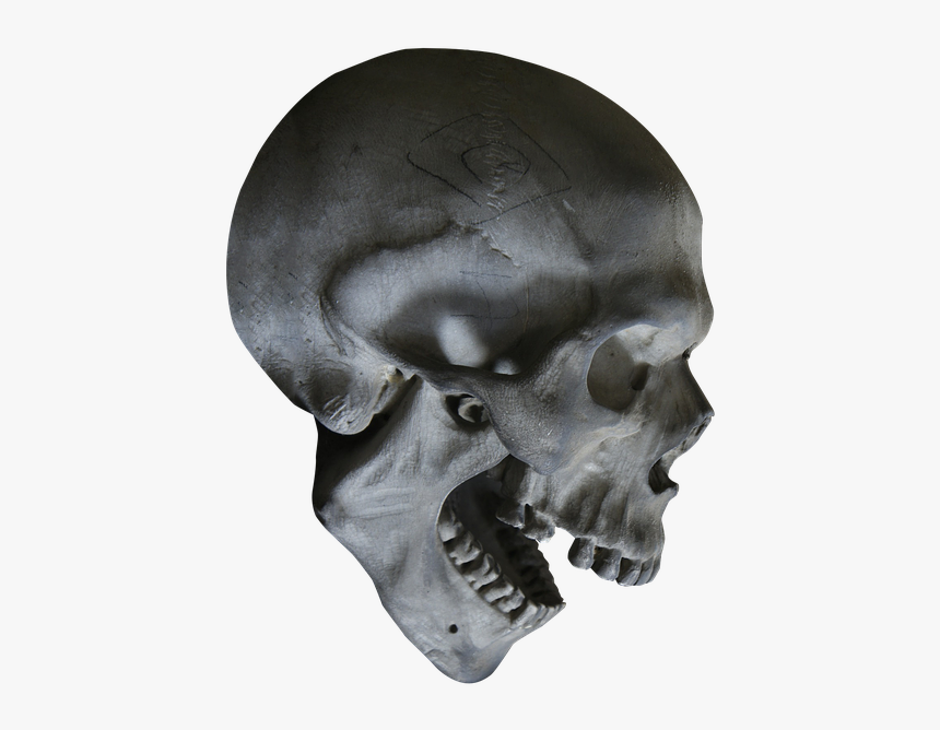 Detail Transparent Skeleton Head Nomer 10